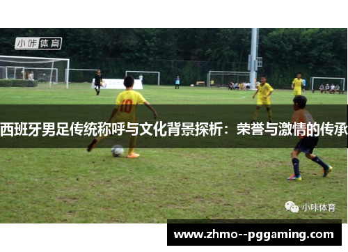 西班牙男足传统称呼与文化背景探析:荣誉与激情的传承 西班牙男足传统称呼与文化背景探析:荣誉与激情的传承