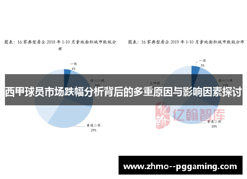 西甲球员市场跌幅分析背后的多重原因与影响因素探讨