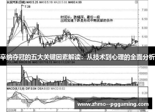 辛纳夺冠的五大关键因素解读：从技术到心理的全面分析