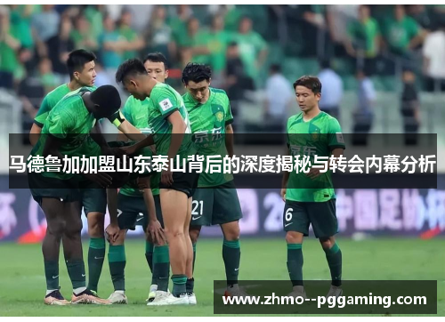 马德鲁加加盟山东泰山背后的深度揭秘与转会内幕分析 马德鲁加加盟山东泰山背后的深度揭秘与转会内幕分析